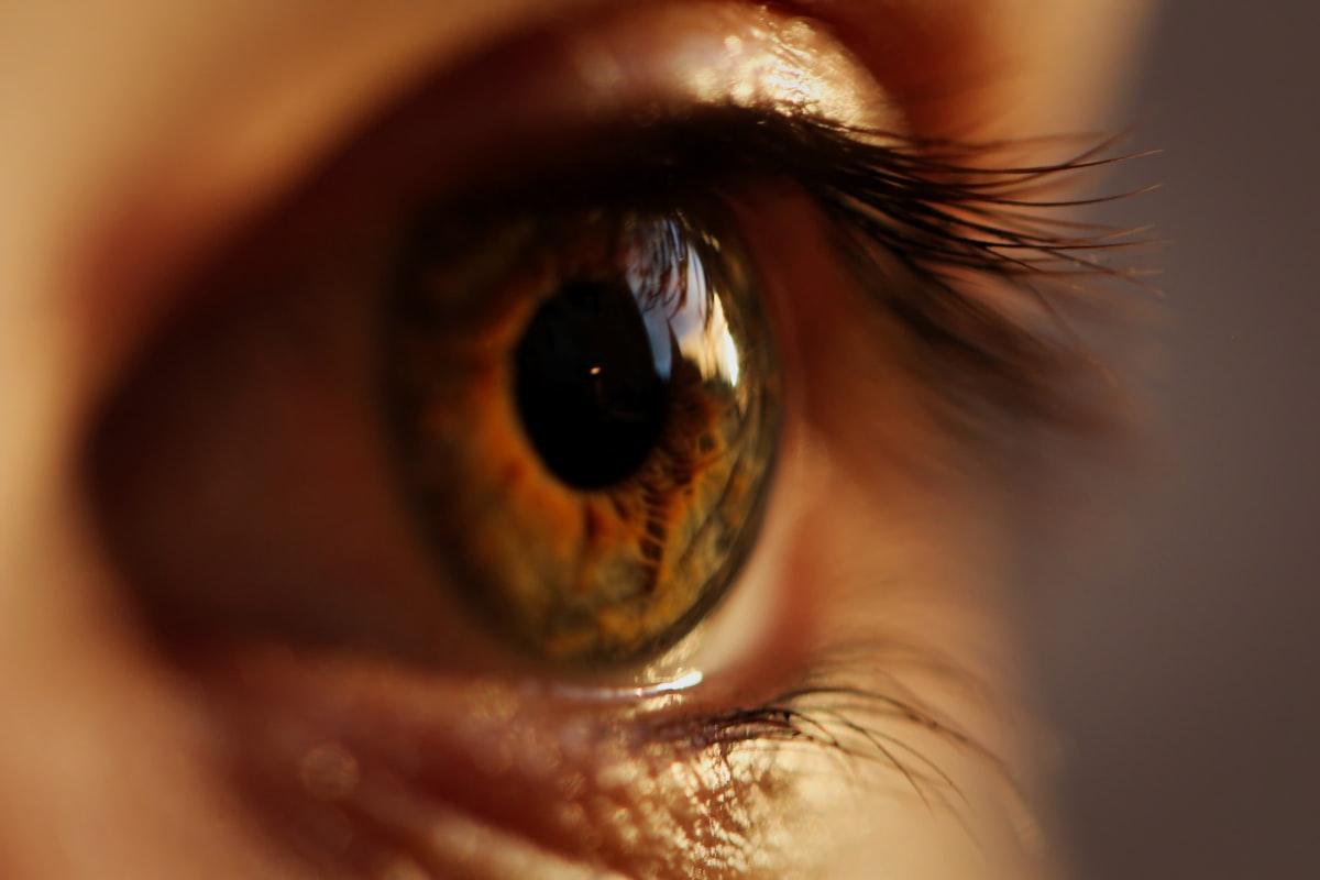 Prevención ocular - Sightimprovement
